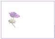 Purple Anemone Insert