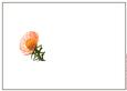 Scabiosa (pin Cushion) Flower Ink Saving Insert