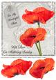 Poppy Duo Mom on Mothering Sunday 8x8inch Step by Step