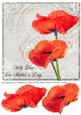Poppy Duo Mother's Day 8x8 Inch
