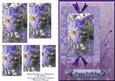 Purple Anemone Framed Pyramid