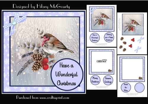 Robin Christmas Card