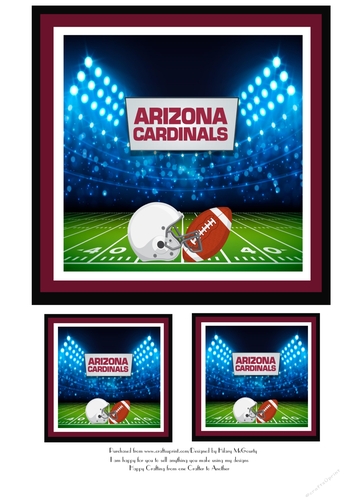 NFL Topper - Arizona Cardinals