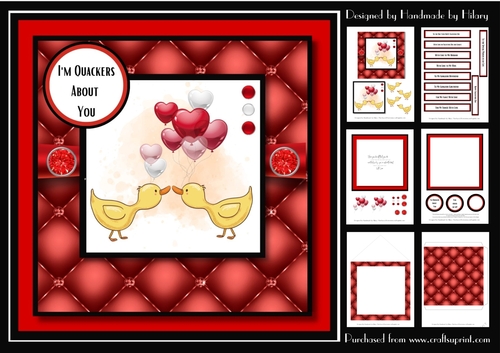 7 Inch Square - Im Quackers About You Valentines Day Card