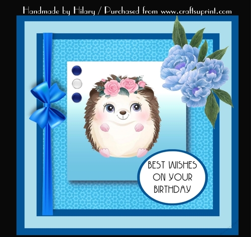 7 Inch Square Card Mini Kit -  Cute Little Hedgehog