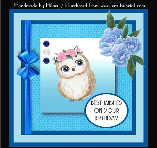 Cute Little Owl