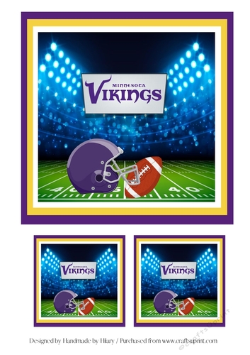 NFL Topper - Minnesota Vikings #2