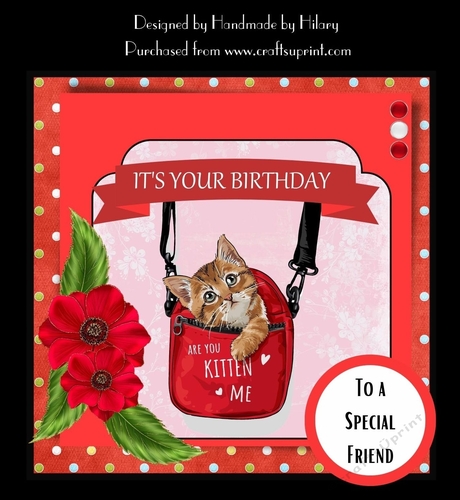 Cute Kitten Birthday Card