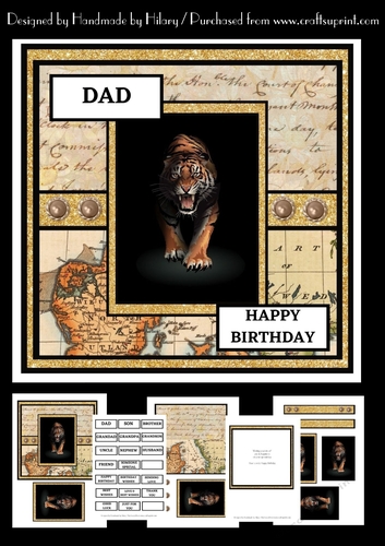 7 Inch Square Card Mini Kit -  Big Cat #2 - Tiger