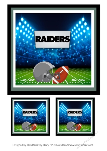 NFL Topper - Oakland Raiders