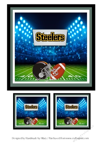 NFL Topper - Pittsburgh Steelers