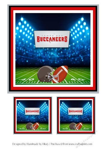 NFL Topper - Tampa Bay Buccaneers #2