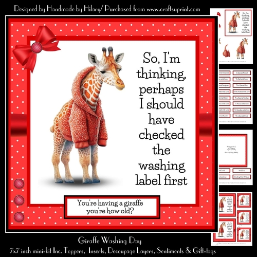 Giraffe Washing Day - 7x7 Square Card Kit