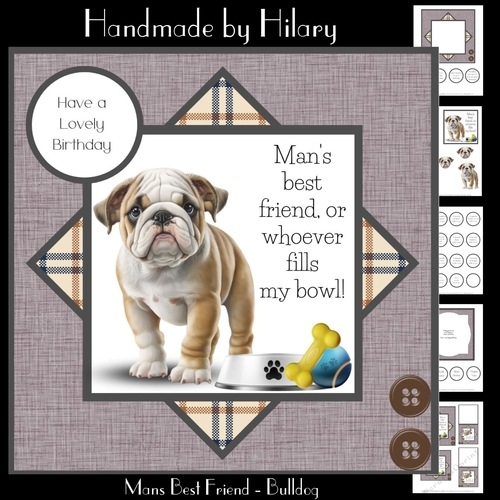 Mans Best Friend - Bulldog