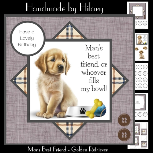 Mans Best Friend - Golden Retriever