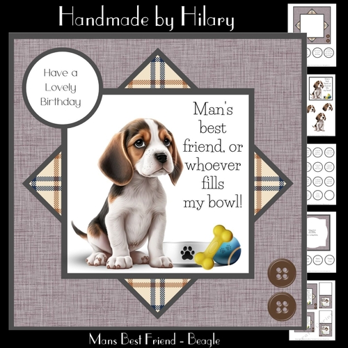Mans Best Friend - Beagle