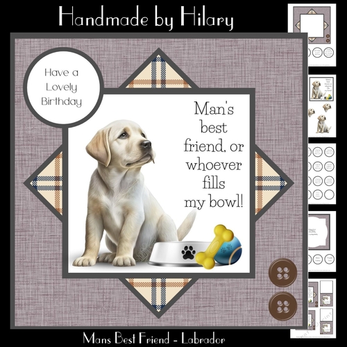 Mans Best Friend - Labrador