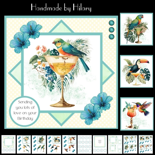 Tropical Island Drinks and Birds - Makes 4 Cards (7x7 inch square card kit) 