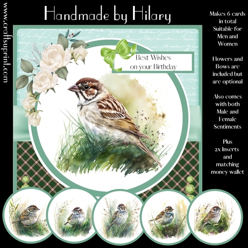 Hello Sparrow - Makes 6 Cards (7x7 inch square card kit)