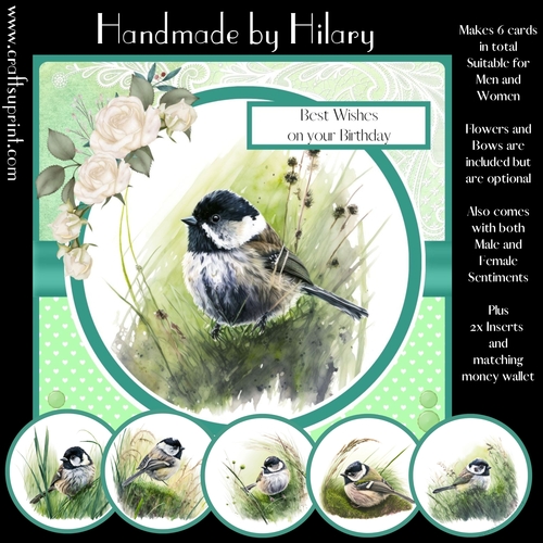 Teeny Little Longtail Tit - Makes 6 Cards (7x7 inch square card kit)