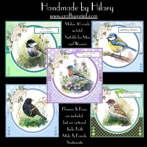 Garden Birds Massive Bumper Collection (7x7 inch square card kits)