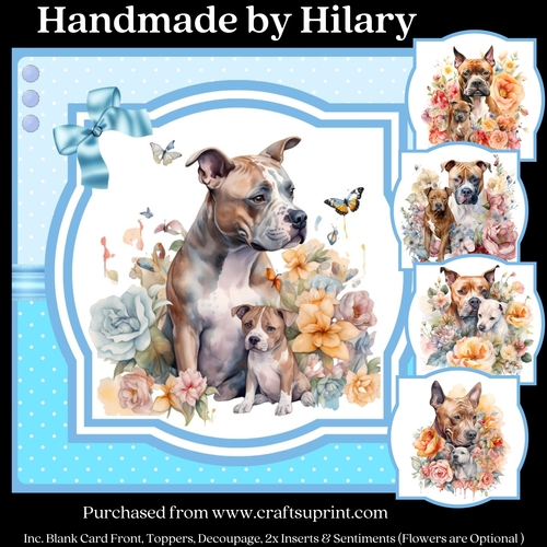 Pitbull and Puppy (Inc. 5 Toppers) - 7x7 inch card kit