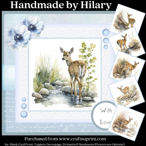 The Little Fawn