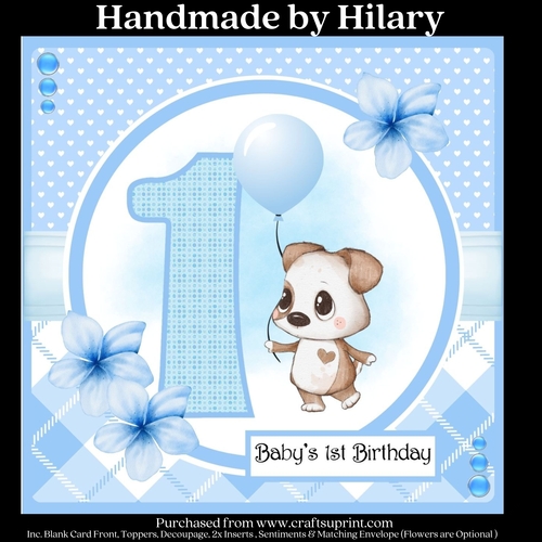 Baby Boys 1st Birthday