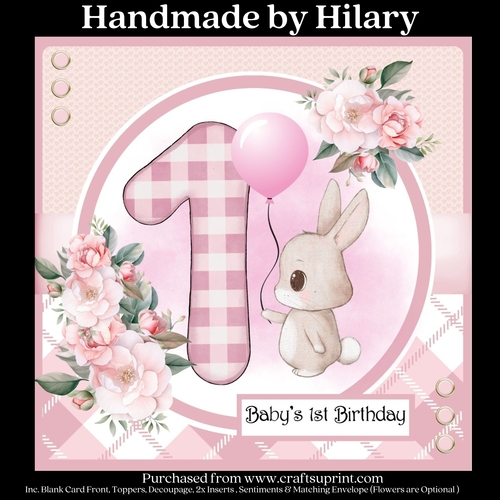 Baby Girls 1st Birthday