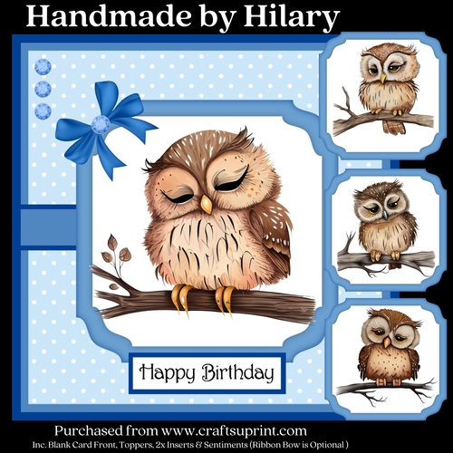 Sleepy Baby Owl