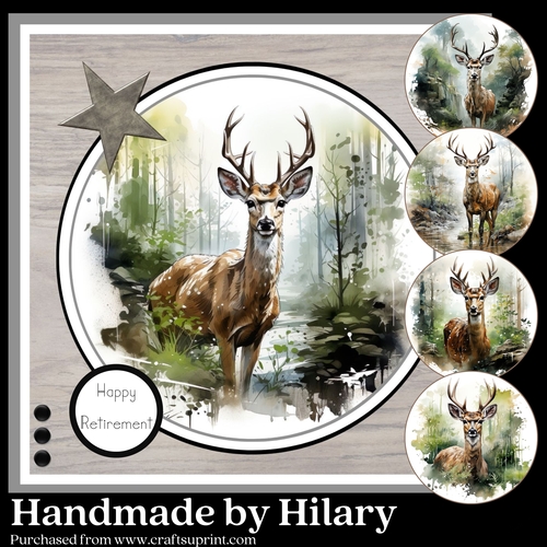 Wild and Free - The Stag