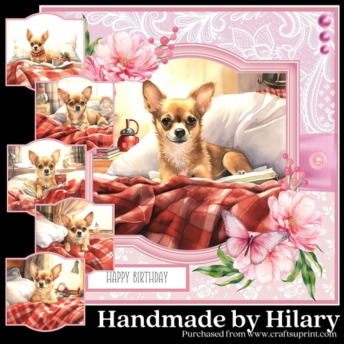 Bedtime Chihuahua 