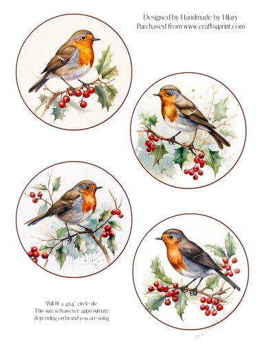 Robin Toppers