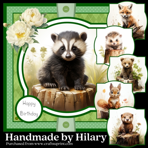 Cute Woodland Critters