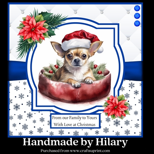 Christmas Chihuahua