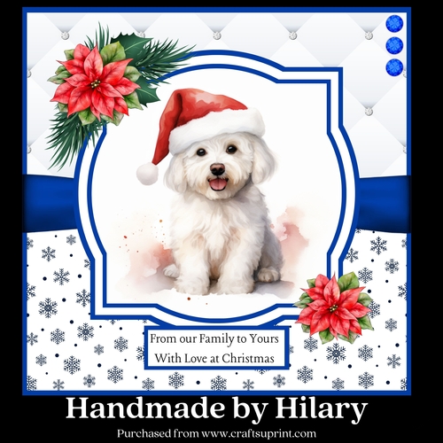 Christmas Bichon Frise