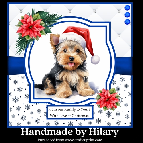 Christmas Yorkie