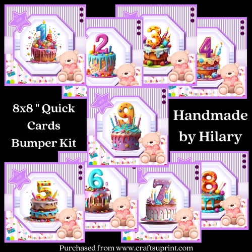 A Special Birthday Cake 8x8 Quick Card Bumper Kit
