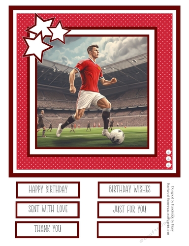 Football Player #6 8x8 Quick Card #4