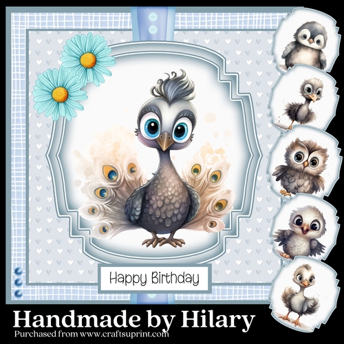 Baby Birds