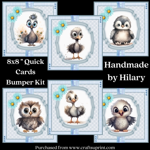 Baby Birds 8x8 Quick Cards Bumper Kit