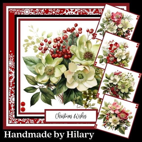 Christmas Hellebores