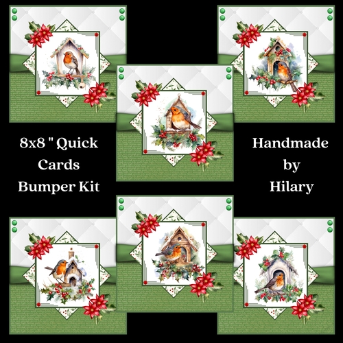 A Little Christmas Robin 8x8 Quick Card Bumper Kit