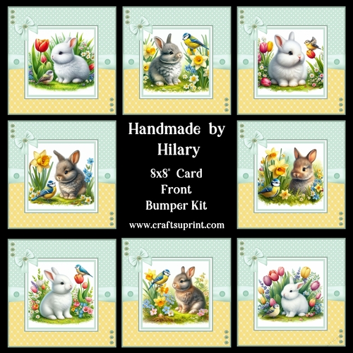 Springtime Bunnies and Birdies 8x8 Card Front Bumper Kit