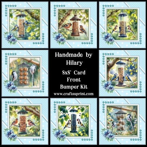 Feeding the Birds 8x8 Card Front Bumper Kit
