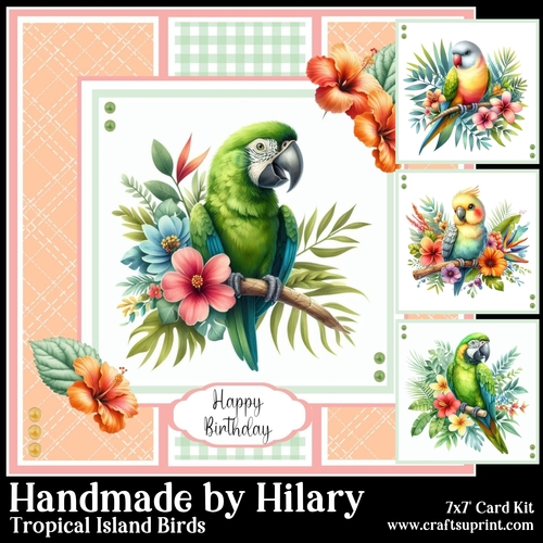 Tropical Island Birds