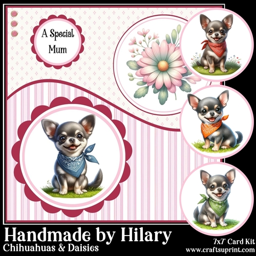 Chihuahuas and Daisies