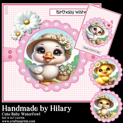 Cute Baby Waterfowl