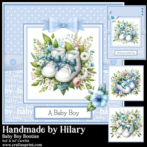 Baby Boy Booties