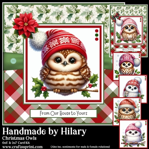 Christmas Owls